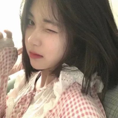 飞燕惊鸿